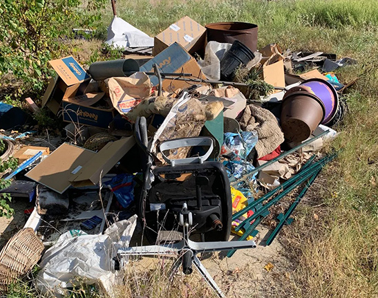 Junk Removal Service